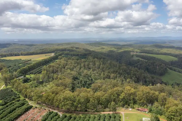 Second view of Homely rural property listing, 81 Baileys Road, Telegraph Point NSW 2441