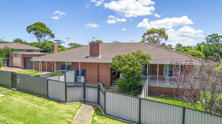 19 Walpole Avenue, Belmont VIC 3216