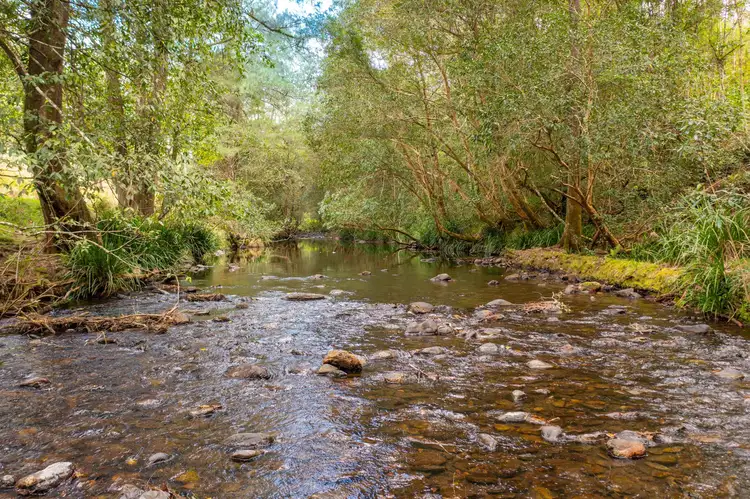 Second view of Homely land listing, Lot 24 209 Tobins River Road, Mount Seaview NSW 2446