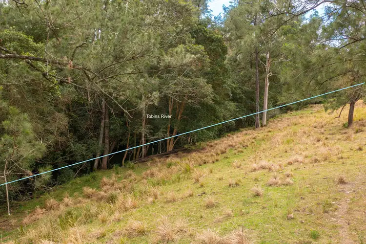 Third view of Homely land listing, Lot 24 209 Tobins River Road, Mount Seaview NSW 2446