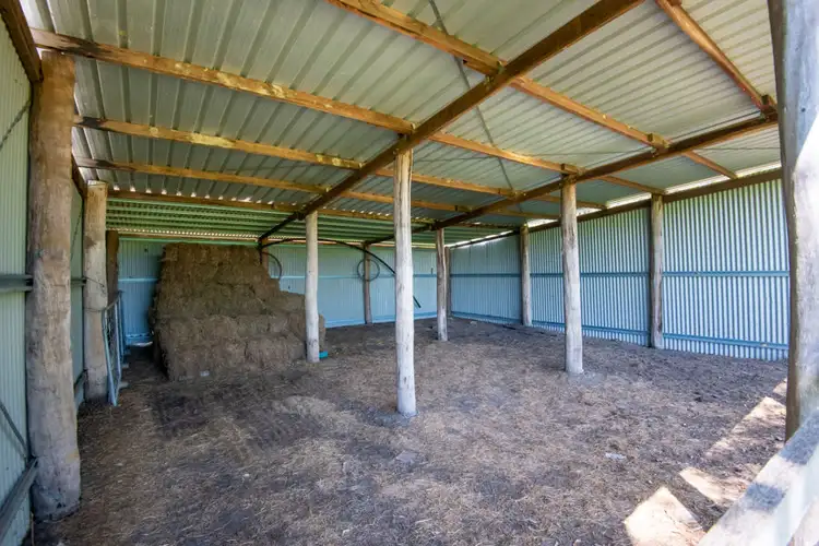 Fourth view of Homely rural property listing, 356 Mulquinneys Road, Braunstone NSW 2460