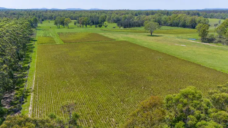 Sixth view of Homely rural property listing, 356 Mulquinneys Road, Braunstone NSW 2460