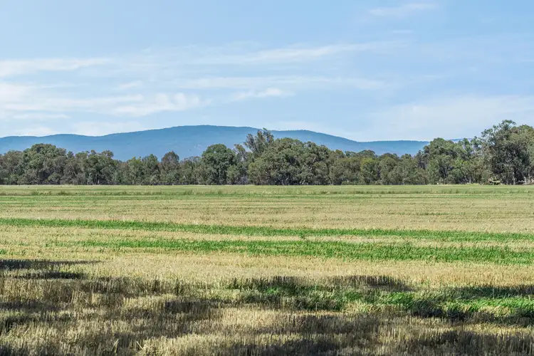 Second view of Homely rural property listing, Maryborough-St Arnaud Road, Natte Yallock VIC 3465