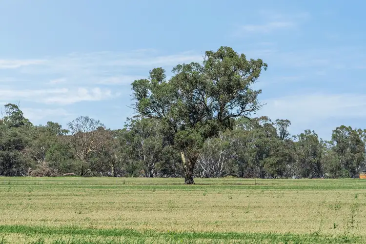 Fourth view of Homely rural property listing, Maryborough-St Arnaud Road, Natte Yallock VIC 3465