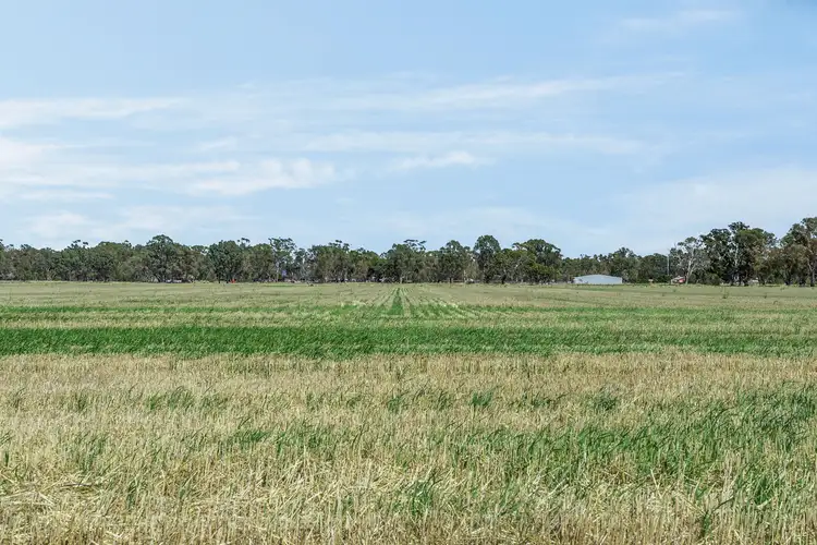 Fifth view of Homely rural property listing, Maryborough-St Arnaud Road, Natte Yallock VIC 3465