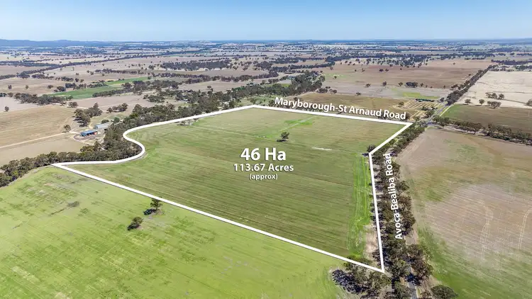 Sixth view of Homely rural property listing, Maryborough-St Arnaud Road, Natte Yallock VIC 3465