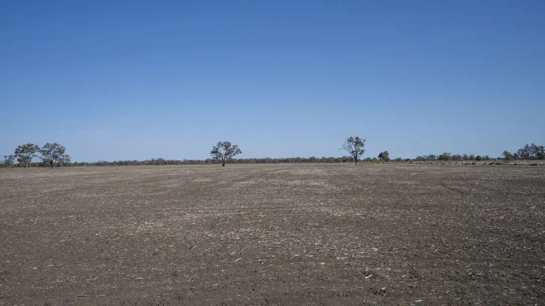 Main view of Homely rural property listing, "Duffs Lea", Rowena NSW 2387
