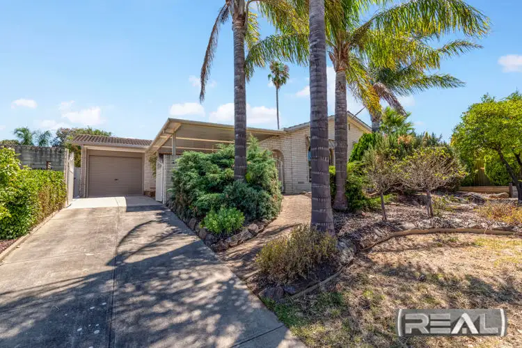 24 Lobelia Road, Modbury North SA 5092
