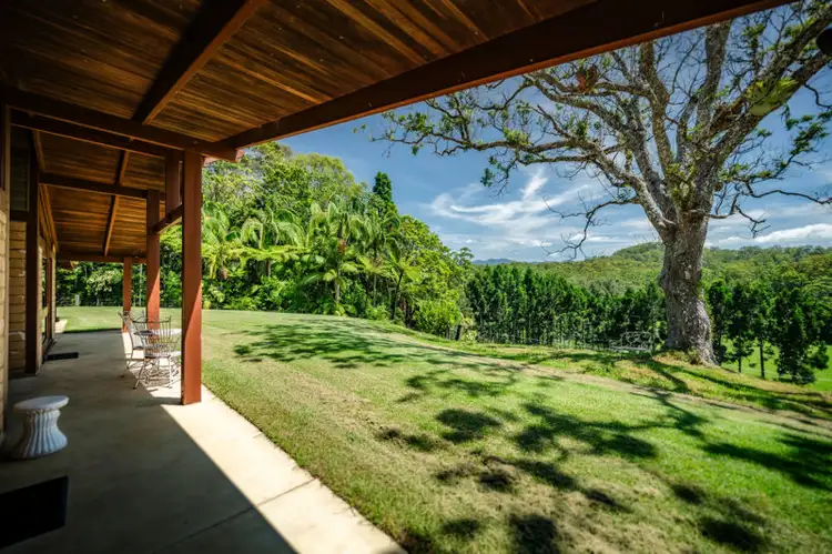 316 Kalang Road, Bellingen NSW 2454