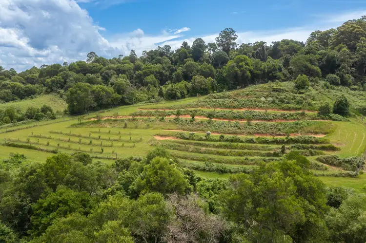 104 Tilbaroo Rd, Elands NSW 2429
