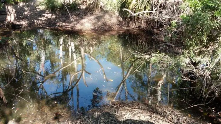 Sixth view of Homely land listing, LOT 5 LELONA DRIVE (174), Bloomsbury QLD 4799
