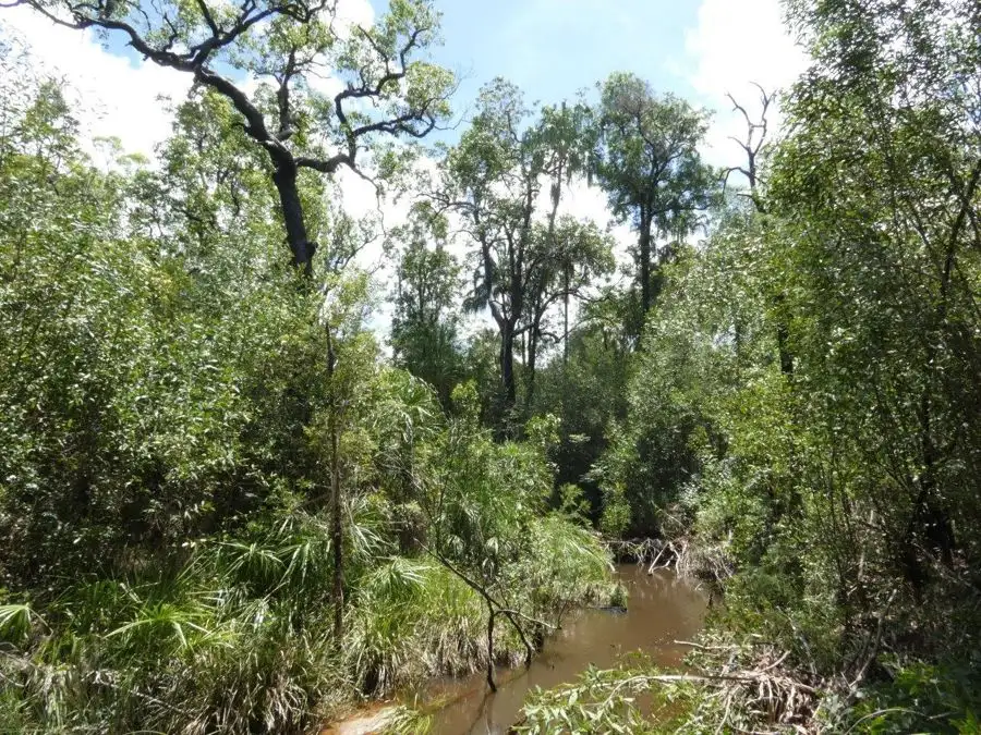 Main view of Homely rural property listing, 1548 Tableland Road, Mount Maria QLD 4674