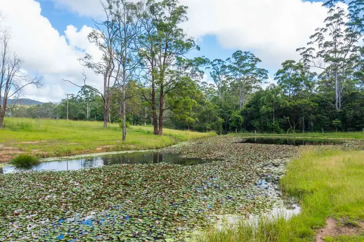 Second view of Homely rural property listing, 876 SMITHS CREEK ROAD, Kundabung NSW 2441