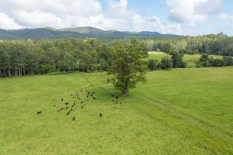 Third view of Homely rural property listing, 876 SMITHS CREEK ROAD, Kundabung NSW 2441