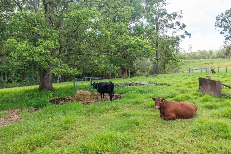 Seventh view of Homely rural property listing, 876 SMITHS CREEK ROAD, Kundabung NSW 2441