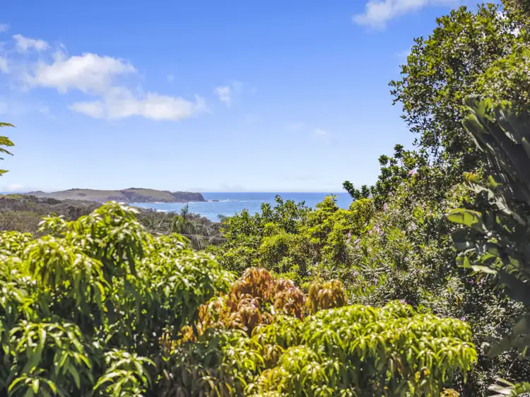 29 Dammerel Crescent, Emerald Beach NSW 2456