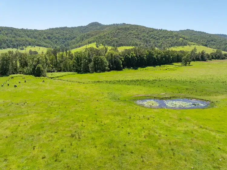 Fifth view of Homely rural property listing, 2367 Kangaroo Creek Road, Kangaroo Creek NSW 2460