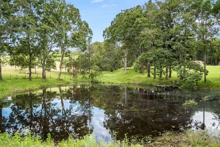 Fourth view of Homely rural property listing, 1581 Maleny-Kenilworth Road, Conondale QLD 4552