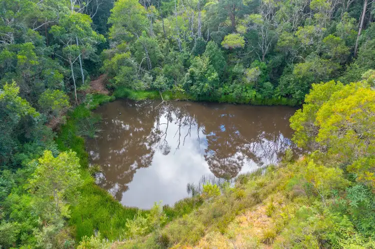 Fifth view of Homely rural property listing, 1552 Colling Road, Elands NSW 2429