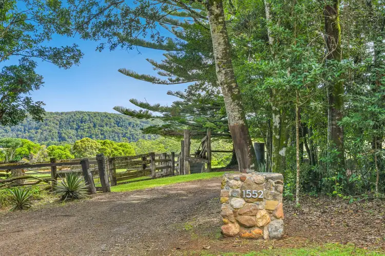 Sixth view of Homely rural property listing, 1552 Colling Road, Elands NSW 2429