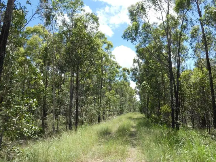 Main view of Homely rural property listing, 666 Capricornia Drive, Deepwater QLD 4674