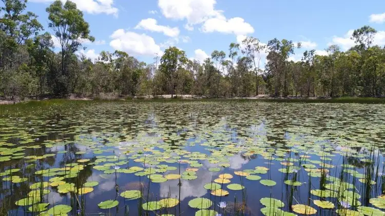 Third view of Homely rural property listing, 666 Capricornia Drive, Deepwater QLD 4674