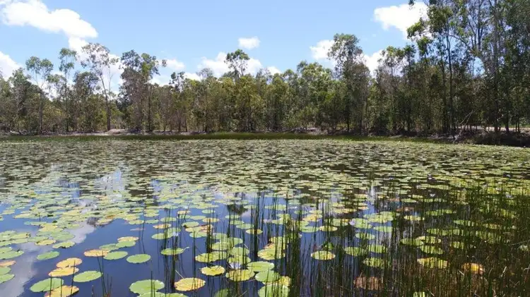 Fourth view of Homely rural property listing, 666 Capricornia Drive, Deepwater QLD 4674