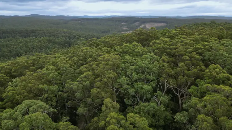 Fourth view of Homely land listing, Lot 184 Camp Creek Road Lowanna, Coffs Harbour NSW 2450