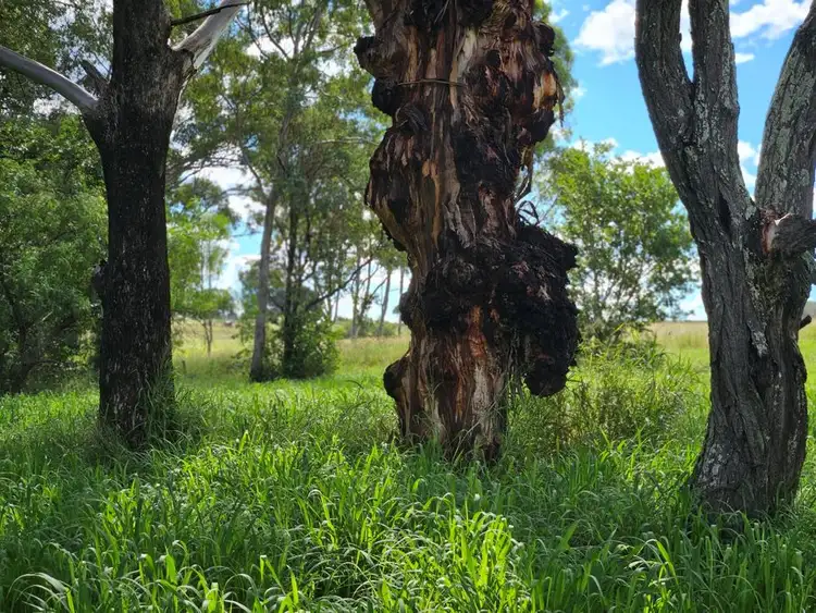 Fifth view of Homely land listing, Lot 180 Leroyd Street, Murgon QLD 4605