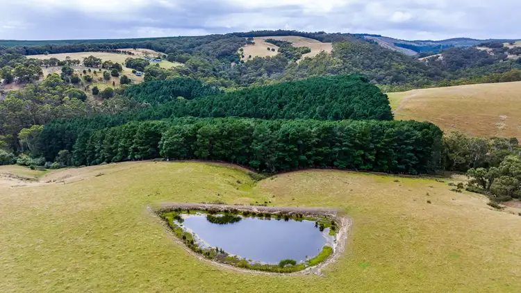 Third view of Homely rural property listing, 225 Bambra-Boonah Road, Bambra VIC 3241