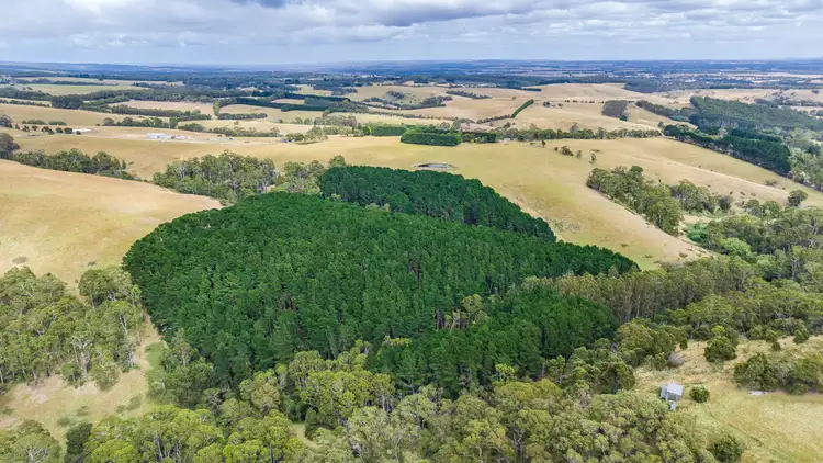 Fifth view of Homely rural property listing, 225 Bambra-Boonah Road, Bambra VIC 3241