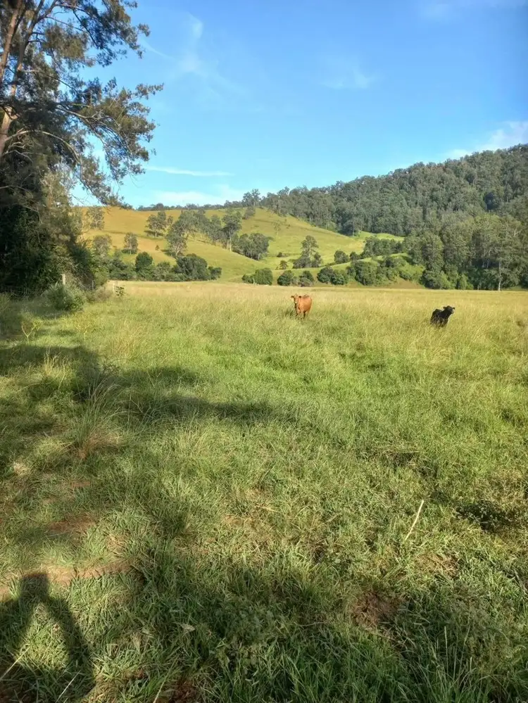 Second view of Homely rural property listing, Address available on request