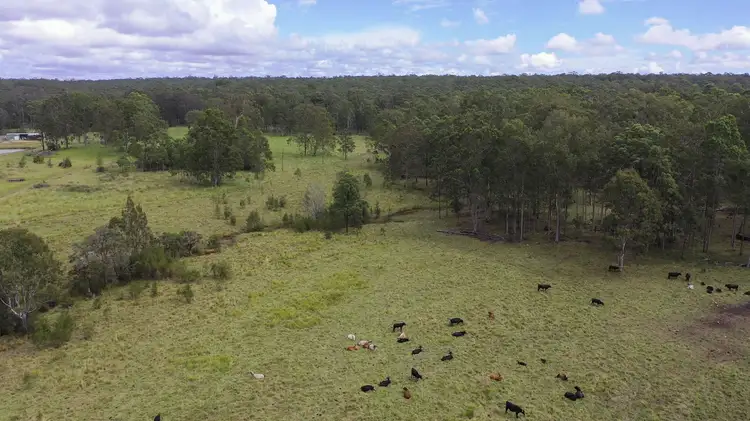 Third view of Homely rural property listing, 373 Big River Way Glenugie, Grafton NSW 2460