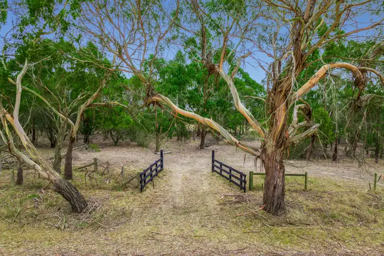 Second view of Homely rural property listing, 90 Giddings Road, Paraparap VIC 3240