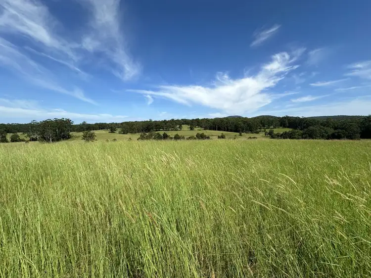 Main view of Homely rural property listing, 150 Tower Rd, Pembrooke NSW 2446