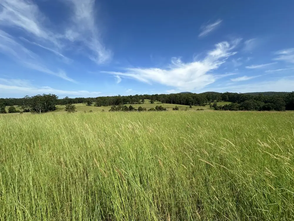 Main view of Homely rural property listing, 150 Tower Rd, Pembrooke NSW 2446