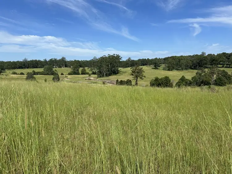 Second view of Homely rural property listing, 150 Tower Rd, Pembrooke NSW 2446