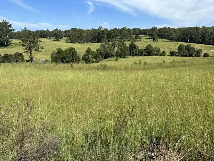 Fifth view of Homely rural property listing, 150 Tower Rd, Pembrooke NSW 2446