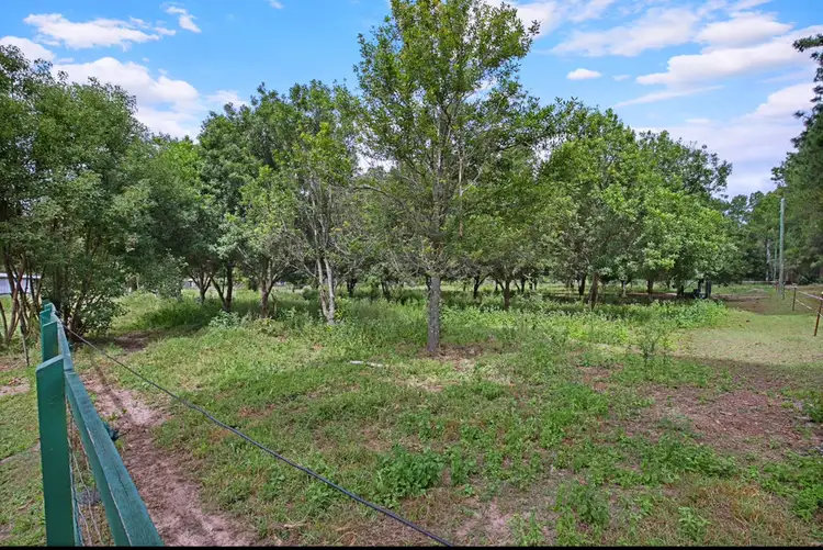 Sixth view of Homely rural property listing, 215-225 Scott lane, North Maclean QLD 4280