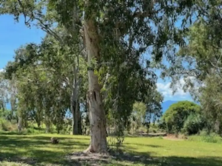 Fourth view of Homely land listing, 22 POWER BOULEVARD, Midge Point QLD 4799