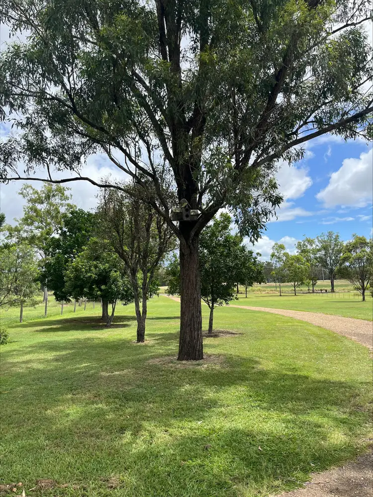 Sixth view of Homely house listing, 576 Curra Estate Road, Curra QLD 4570