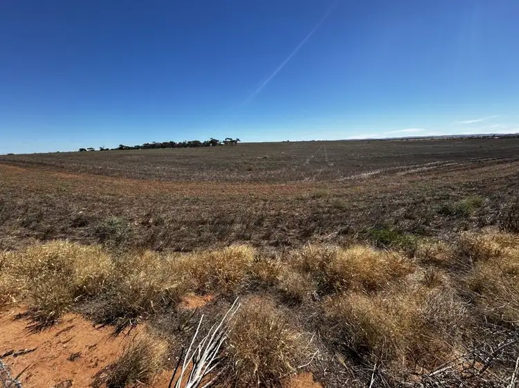 Fourth view of Homely land listing, Section 15 Male Road, Mannum SA 5238