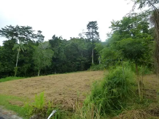 Main view of Homely land listing, 8 Jago Street, Babinda QLD 4861