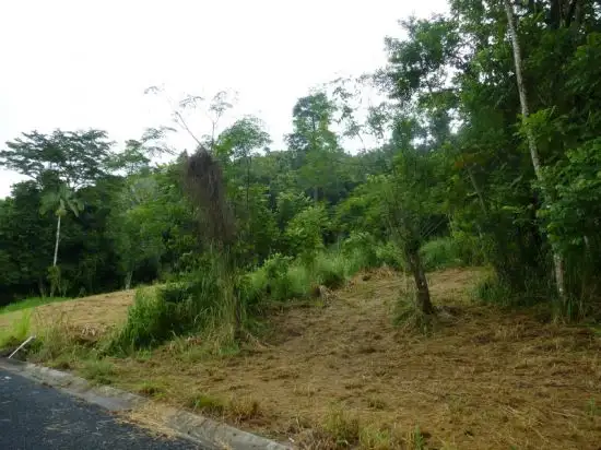 Fifth view of Homely land listing, 8 Jago Street, Babinda QLD 4861