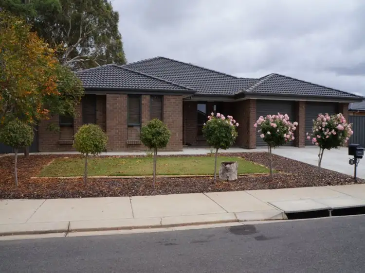 9 James Court, Murray Bridge SA 5253