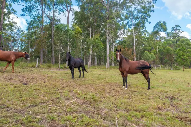 Third view of Homely rural property listing, 137 Appletree Drive, Kundabung NSW 2441