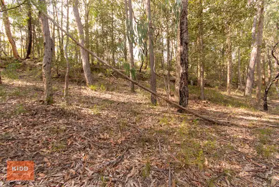 Second view of Homely rural property listing, 62 Una Road, Bucketty NSW 2250