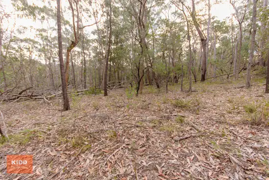 Third view of Homely rural property listing, 62 Una Road, Bucketty NSW 2250