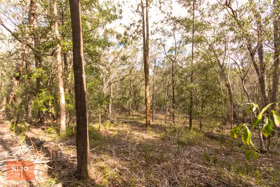 Seventh view of Homely rural property listing, 62 Una Road, Bucketty NSW 2250