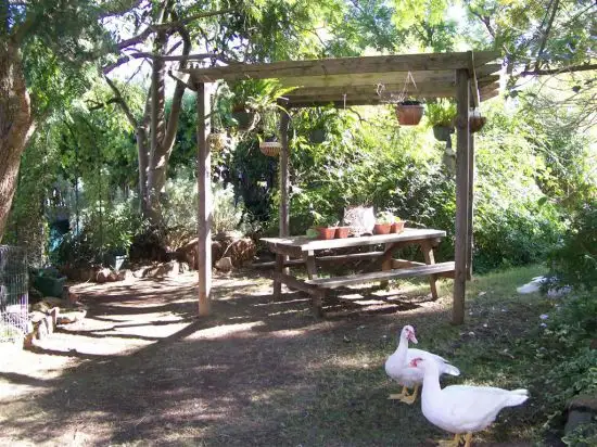Fourth view of Homely house listing, 240 Kelly Street, Scone NSW 2337